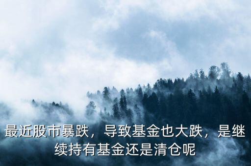 最近股市暴跌，導(dǎo)致基金也大跌，是繼續(xù)持有基金還是清倉(cāng)呢