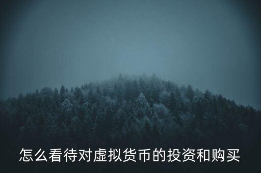 怎么看待對(duì)虛擬貨幣的投資和購(gòu)買