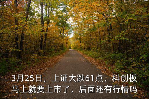3月25日，上證大跌61點，科創(chuàng)板馬上就要上市了，后面還有行情嗎