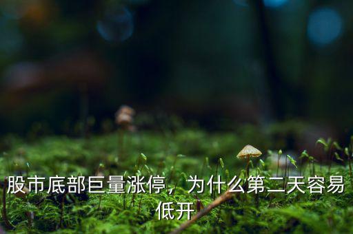 股市底部巨量漲停，為什么第二天容易低開