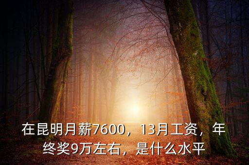 在昆明月薪7600，13月工資，年終獎(jiǎng)9萬(wàn)左右，是什么水平