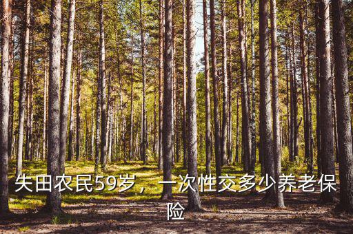 失田農(nóng)民59歲，一次性交多少養(yǎng)老保險(xiǎn)