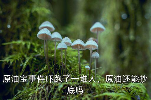 原油寶事件嚇跑了一堆人，原油還能抄底嗎