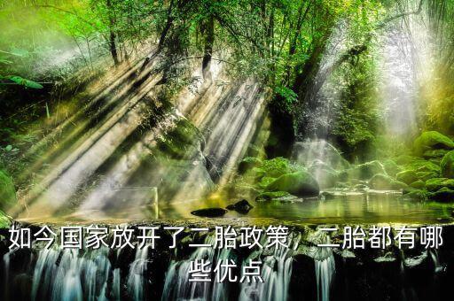 如今國家放開了二胎政策，二胎都有哪些優(yōu)點