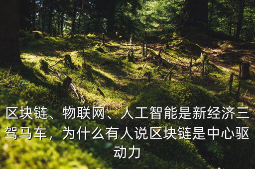 區(qū)塊鏈、物聯(lián)網(wǎng)、人工智能是新經(jīng)濟三駕馬車，為什么有人說區(qū)塊鏈是中心驅(qū)動力