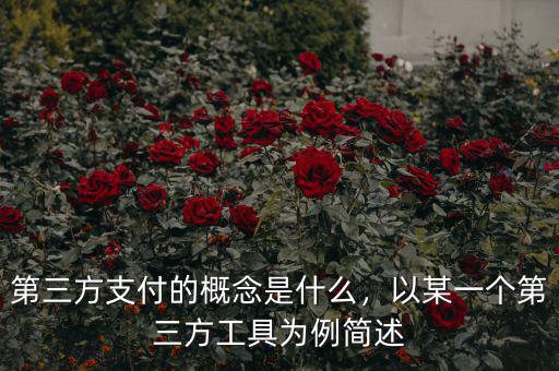 第三方支付的概念是什么，以某一個(gè)第三方工具為例簡(jiǎn)述