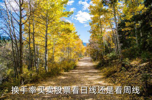 看換手率怎么買(mǎi)股票,股票換手率怎樣分析