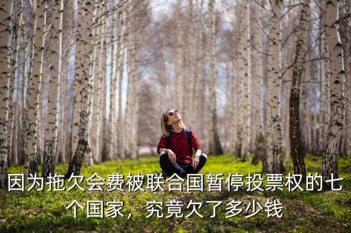 因?yàn)橥锨窌?huì)費(fèi)被聯(lián)合國(guó)暫停投票權(quán)的七個(gè)國(guó)家，究竟欠了多少錢(qián)