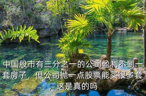 中國(guó)股市有三分之一的公司盈利不到一套房子，但公司拋一點(diǎn)股票能買(mǎi)很多套，這是真的嗎