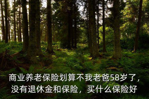 商業(yè)養(yǎng)老保險劃算不我老爸58歲了，沒有退休金和保險，買什么保險好