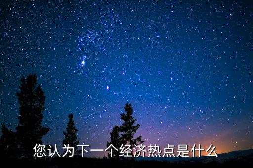 您認為下一個經濟熱點是什么