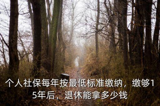 個人社保每年按最低標準繳納，繳夠15年后，退休能拿多少錢
