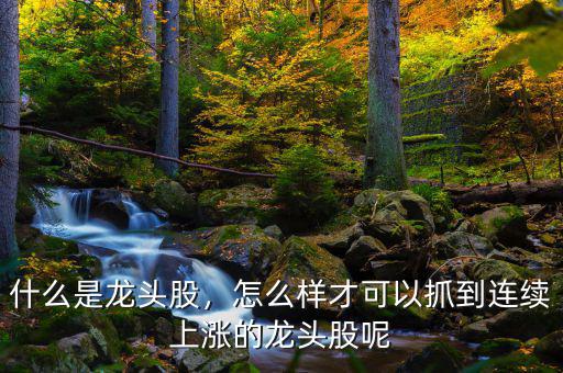 什么是龍頭股，怎么樣才可以抓到連續(xù)上漲的龍頭股呢