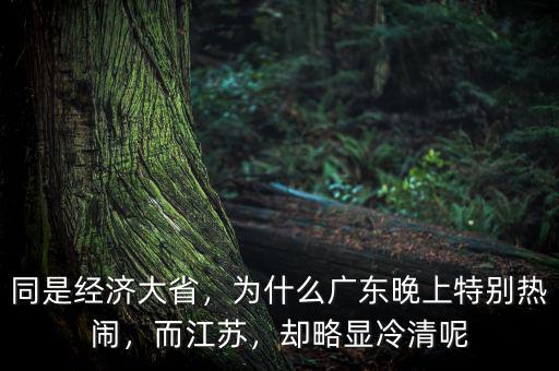 同是經(jīng)濟大省，為什么廣東晚上特別熱鬧，而江蘇，卻略顯冷清呢