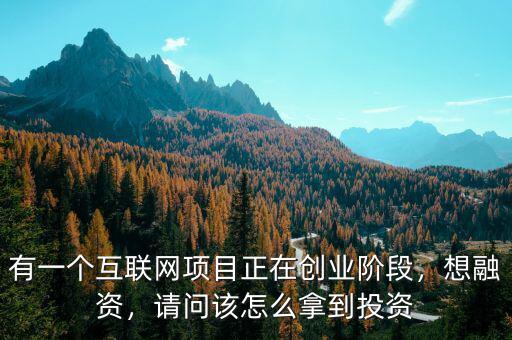 有一個互聯(lián)網(wǎng)項目正在創(chuàng)業(yè)階段，想融資，請問該怎么拿到投資
