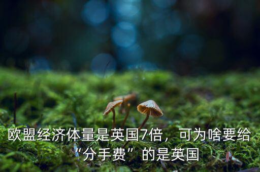 歐盟經(jīng)濟體量是英國7倍，可為啥要給“分手費”的是英國