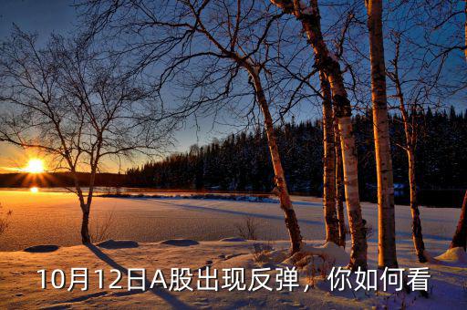 10月12日A股出現(xiàn)反彈，你如何看