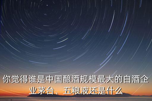 你覺得誰是中國釀酒規(guī)模最大的白酒企業(yè)茅臺、五糧液還是什么