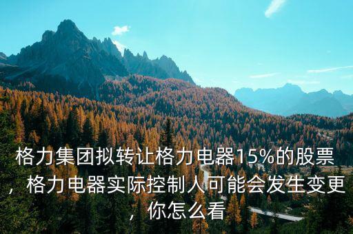 格力集團擬轉(zhuǎn)讓格力電器15%的股票，格力電器實際控制人可能會發(fā)生變更，你怎么看