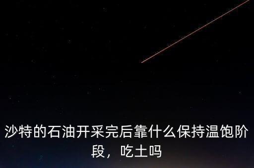 沙特的石油開(kāi)采完后靠什么保持溫飽階段，吃土嗎