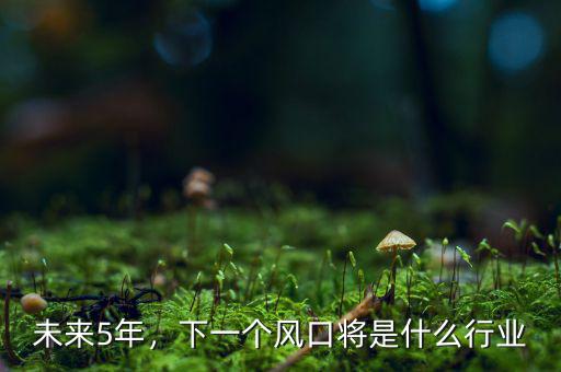 未來5年，下一個風(fēng)口將是什么行業(yè)