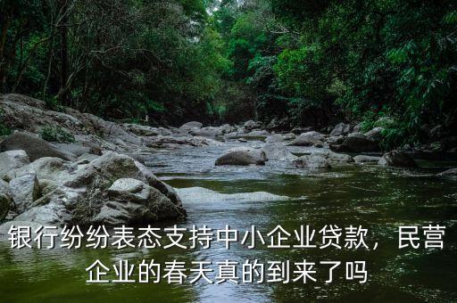 銀行紛紛表態(tài)支持中小企業(yè)貸款，民營企業(yè)的春天真的到來了嗎