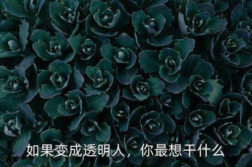 如果變成透明人，你最想干什么