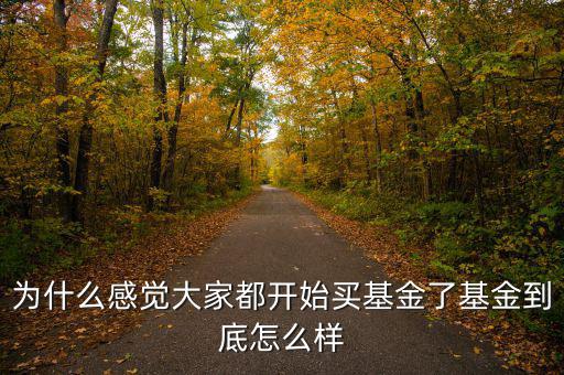 為什么感覺(jué)大家都開(kāi)始買(mǎi)基金了基金到底怎么樣