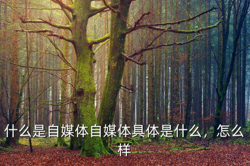 什么是自媒體自媒體具體是什么，怎么樣