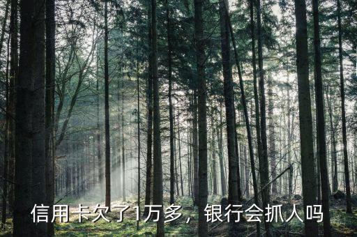信用卡欠了1萬(wàn)多，銀行會(huì)抓人嗎