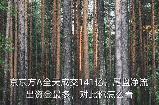 京東方A全天成交141億，尾盤凈流出資金最多，對(duì)此你怎么看