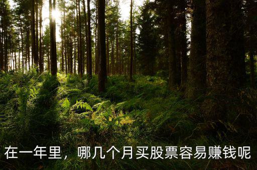在一年里，哪幾個(gè)月買股票容易賺錢呢