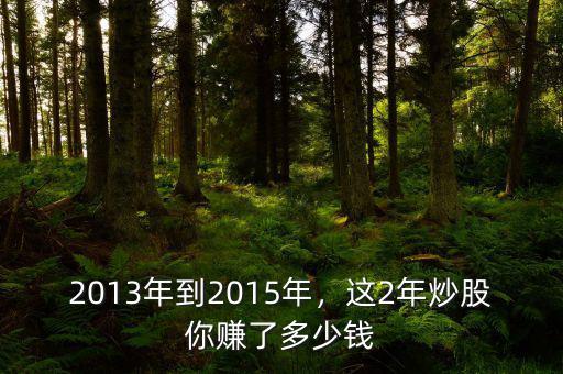 2015年炒股賺了多少,這2年炒股你賺了多少錢(qián)