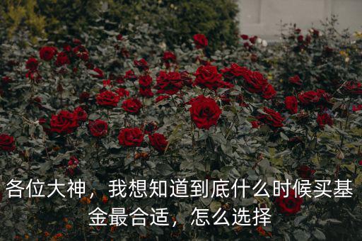 各位大神，我想知道到底什么時(shí)候買基金最合適，怎么選擇