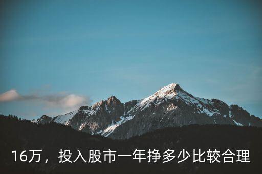 16萬，投入股市一年掙多少比較合理