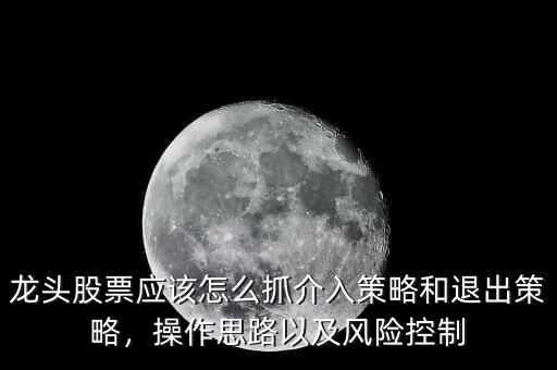 龍頭股票應該怎么抓介入策略和退出策略，操作思路以及風險控制