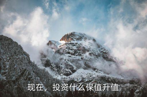 現(xiàn)在，投資什么保值升值