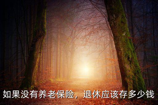 如果沒(méi)有養(yǎng)老保險(xiǎn)，退休應(yīng)該存多少錢(qián)