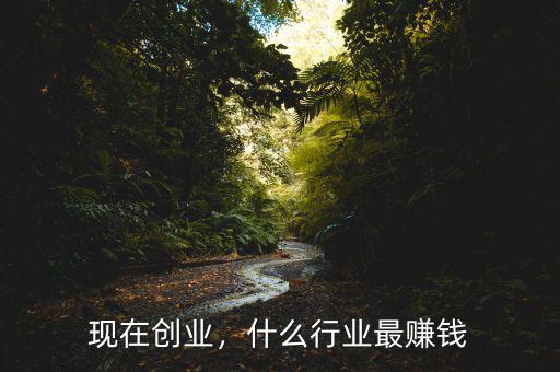 現(xiàn)在創(chuàng)業(yè)，什么行業(yè)最賺錢(qián)