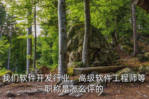 我們軟件開發(fā)行業(yè)，高級軟件工程師等職稱是怎么評的