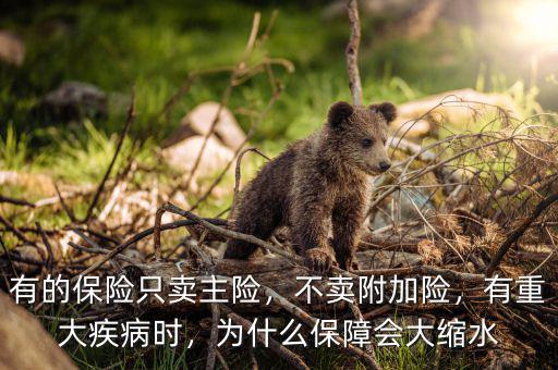 有的保險(xiǎn)只賣主險(xiǎn)，不賣附加險(xiǎn)，有重大疾病時(shí)，為什么保障會(huì)大縮水