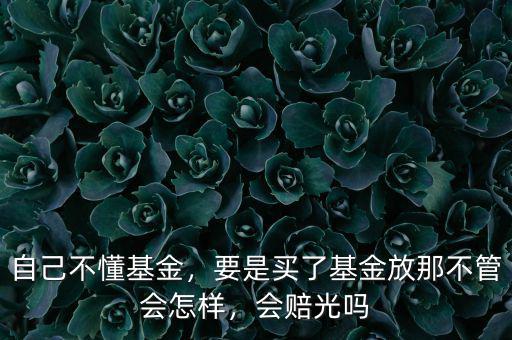 自己不懂基金，要是買了基金放那不管會怎樣，會賠光嗎