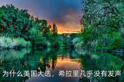 為什么美國大選，希拉里幾乎沒有發(fā)聲