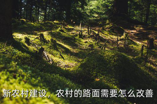 金寨新農村建設怎么走,農村進行新農村建設