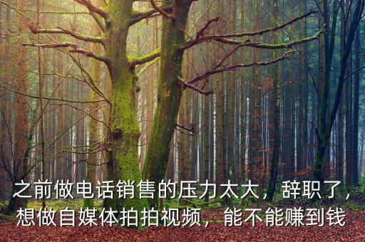 之前做電話銷售的壓力太大，辭職了，想做自媒體拍拍視頻，能不能賺到錢