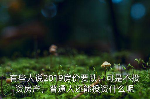 有些人說2019房價要跌，可是不投資房產(chǎn)，普通人還能投資什么呢