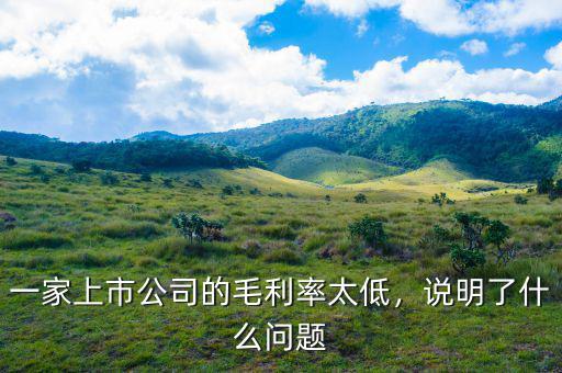 一家上市公司的毛利率太低，說明了什么問題
