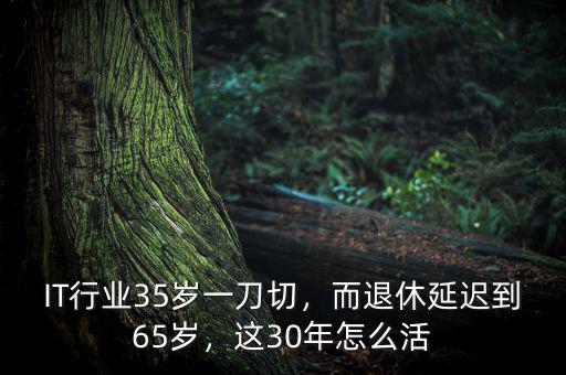 IT行業(yè)35歲一刀切，而退休延遲到65歲，這30年怎么活