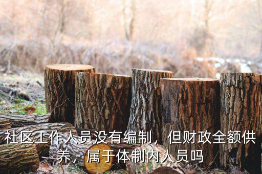 社區(qū)工作人員沒有編制，但財政全額供養(yǎng)，屬于體制內(nèi)人員嗎