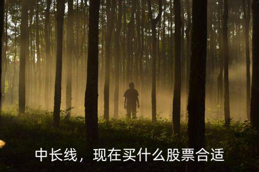 中長線，現(xiàn)在買什么股票合適